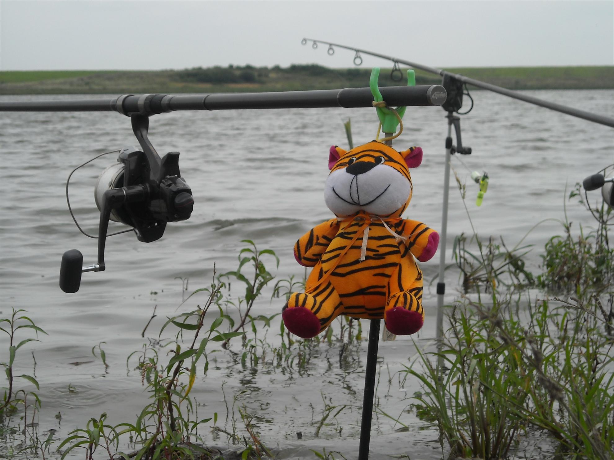 Cupa Romaniei - Hobaia 2010 - dscn6905.jpg